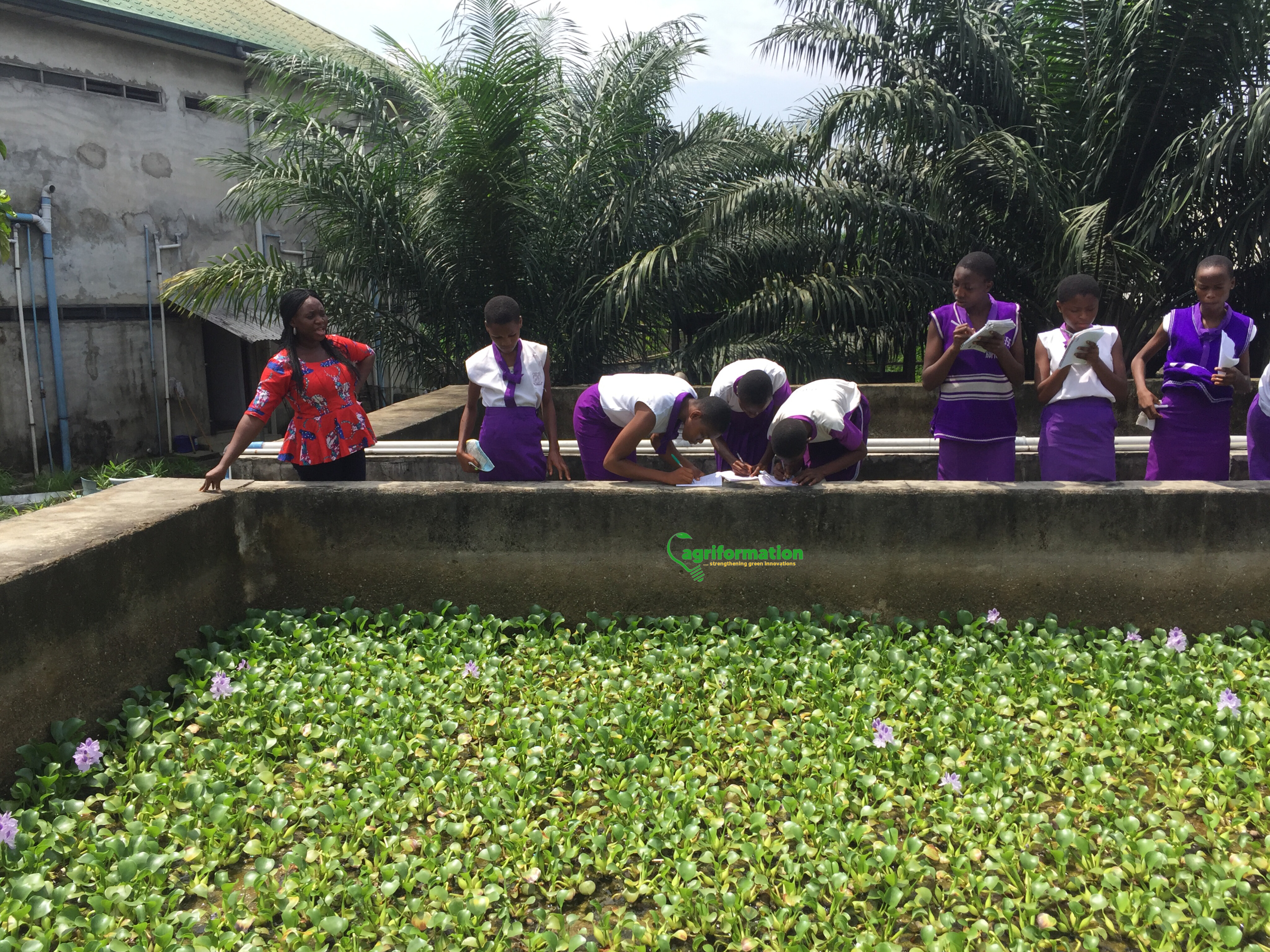 Students learning agriculture